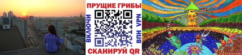 Псилоцибиновые грибы мухоморы  купить наркоту  МЕГА зеркало  Оленегорск 